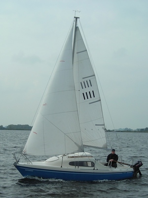 manta19